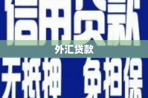 明溪外汇贷款