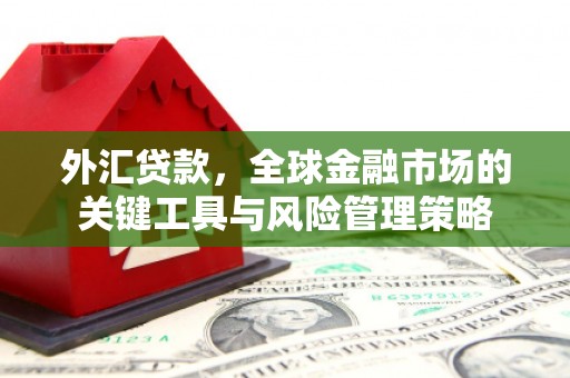 明溪外汇贷款，全球金融市场的关键工具与风险管理策略