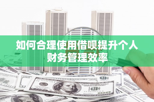 明溪如何合理使用借呗提升个人财务管理效率