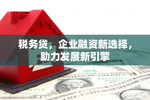 明溪税务贷，企业融资新选择，助力发展新引擎