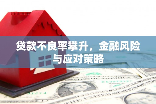 明溪贷款不良率攀升，金融风险与应对策略