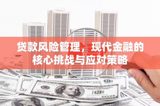 明溪贷款风险管理，现代金融的核心挑战与应对策略