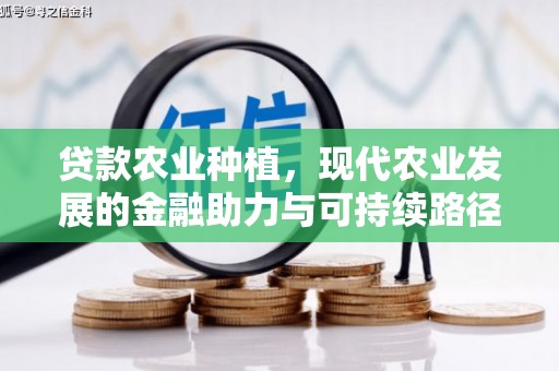 明溪贷款农业种植，现代农业发展的金融助力与可持续路径