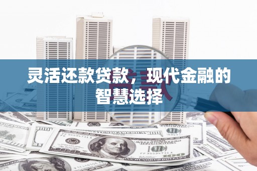 明溪灵活还款贷款，现代金融的智慧选择