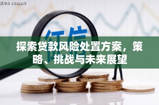 明溪探索贷款风险处置方案，策略、挑战与未来展望