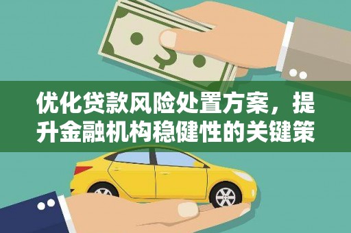 明溪优化贷款风险处置方案，提升金融机构稳健性的关键策略