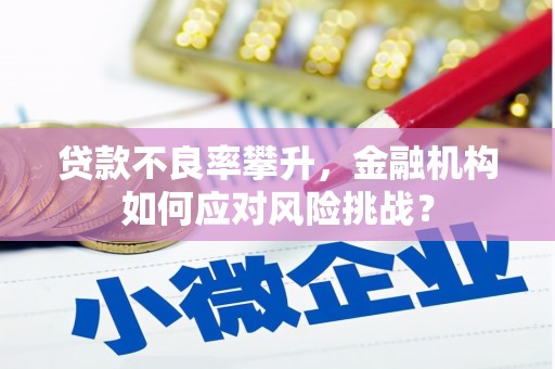 明溪贷款不良率攀升，金融机构如何应对风险挑战？
