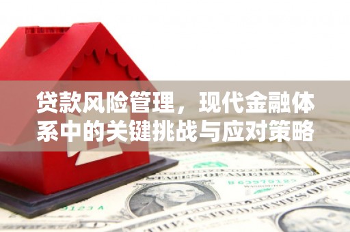 明溪贷款风险管理，现代金融体系中的关键挑战与应对策略