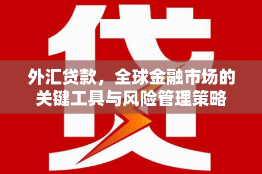 明溪外汇贷款，全球金融市场的关键工具与风险管理策略
