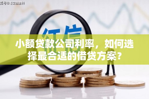 明溪小额贷款公司利率，如何选择最合适的借贷方案？