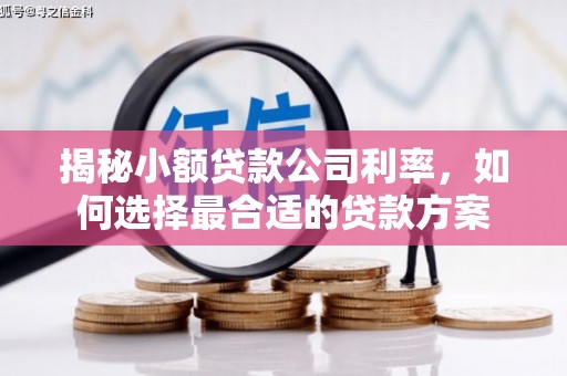 明溪揭秘小额贷款公司利率，如何选择最合适的贷款方案