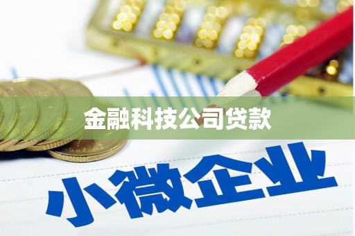 明溪金融科技公司贷款