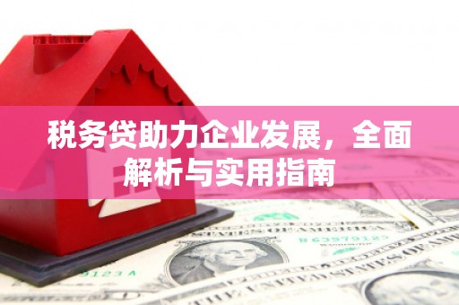 明溪税务贷助力企业发展，全面解析与实用指南