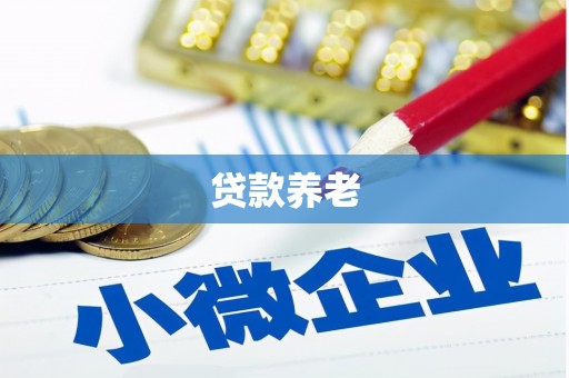 明溪贷款养老
