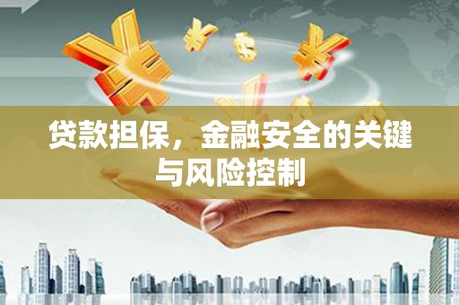 明溪贷款担保，金融安全的关键与风险控制