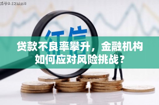 明溪贷款不良率攀升，金融机构如何应对风险挑战？