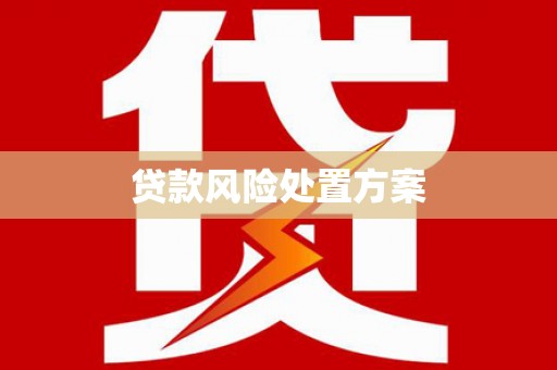 明溪贷款风险处置方案