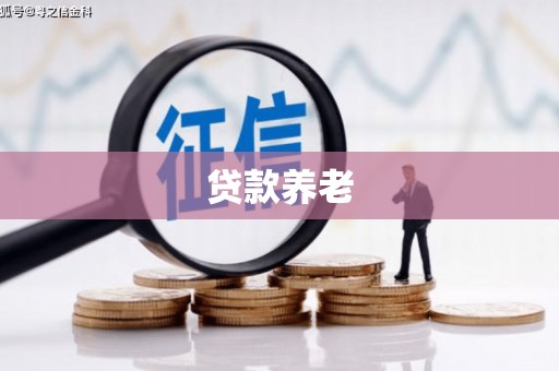 明溪贷款养老