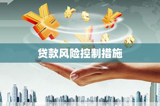 明溪贷款风险控制措施