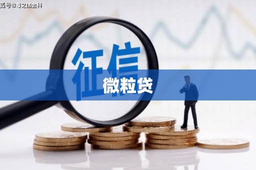 明溪微粒贷