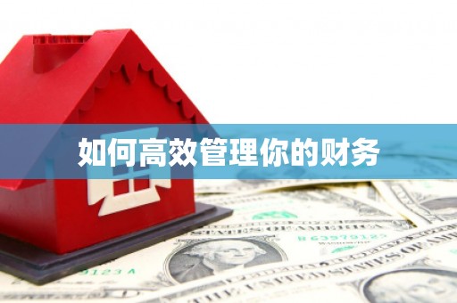 明溪如何高效管理你的财务