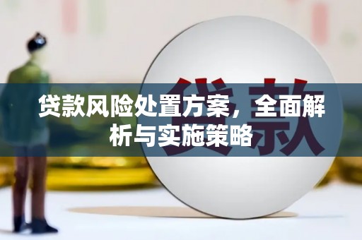 明溪贷款风险处置方案，全面解析与实施策略
